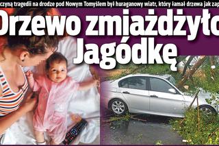 Burze nad Wielkopolską. Konar drzewa zabił dwumiesięczną dziewczynkę!