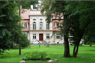 Pałac w Witosławiu