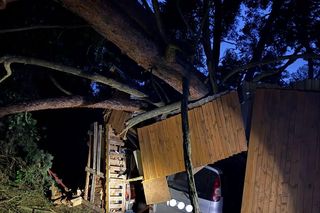 Powiat garwoliński: Drzewo przewróciło się na garaż