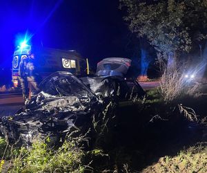 Wichura zmiotła drzewo na samochód. Ojciec i córka poszkodowani