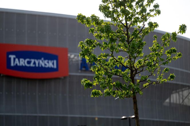 Tarczyński Arena
