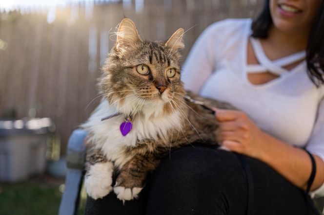 Mars Global Adoption Weekend