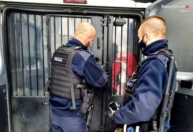 Brutalnie zabił kota. Skręcił mu kark i wyrzucił do kosza. Zapadła ważna decyzja