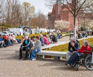 Tak wrocławianie spędzają Wielkanoc 2024. Zamiast siedzenia przy stole, spacery i kolejki po lody