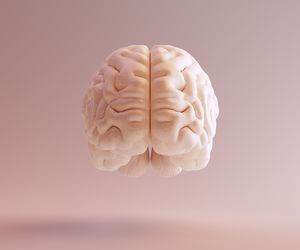 Istota biała (substancja biała)