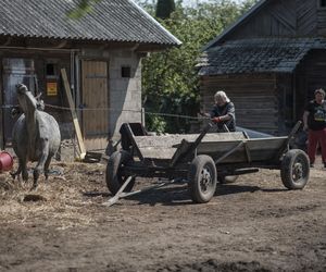 Rolnicy. Podlasie. Dom Gienka i Andrzeja z Plutycz - tak było kiedyś