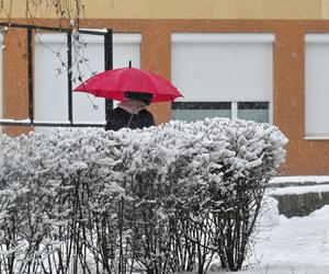 Śnieżny Szczecin 