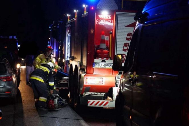 Wymysłów. Komendant policji w Turku zabrany śmigłowcem LPR. Zderzył się z łosiem [ZDJĘCIA]. 