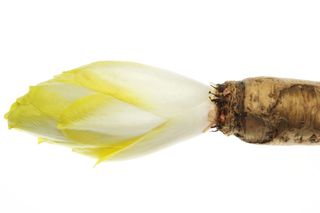 Inulina - cukier, który pomaga schudnąć. Właściwości i zastosowanie inuliny