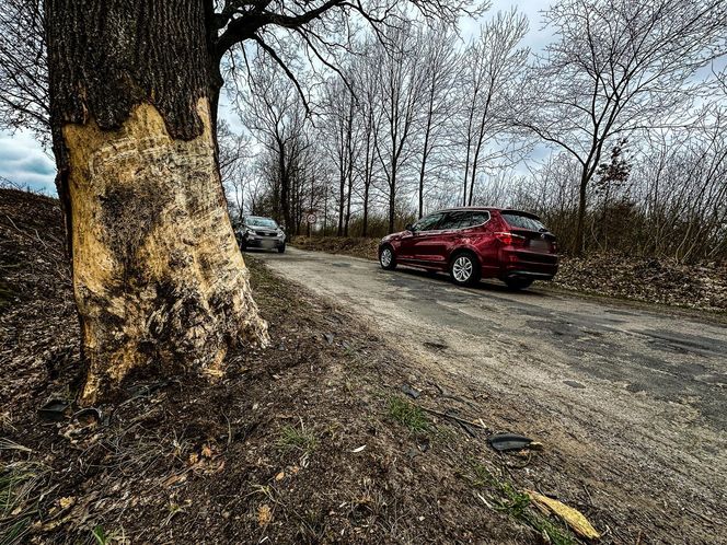 Tragiczny wypadek pod Dobrzykami. Mateusz zginął 400 metrów od domu
