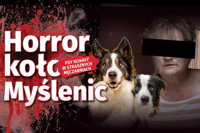 Horror koło Myślenic