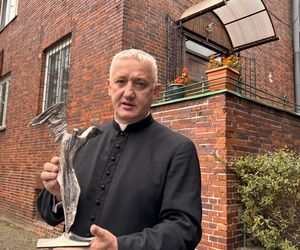 Szczecin. Nagroda Totus Tuus dla Fundacji Małych Stópek