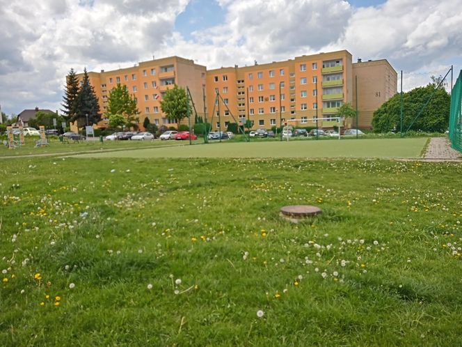 Pół boiska w Kielcach