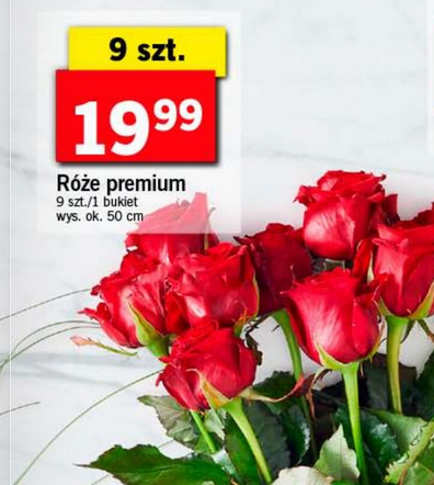 Kwiaty za grosze w Lidlu