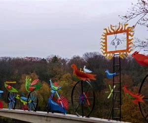 Ogniste Ptaki w Parku Kasprowicza w Szczecinie