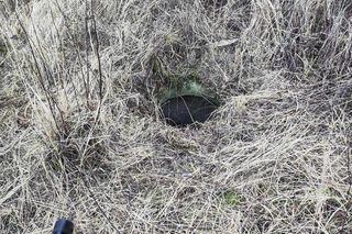 Strażacy uratowali sarenkę