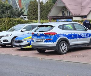 Zabójstwo w Kampinosie