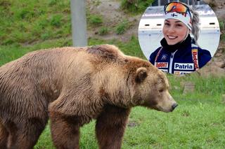 Biathlonistka spotkała się oko w oko z niedźwiedziem!