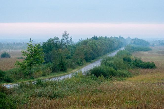 Łosiostradą przez Biebrzański Park Narodowy