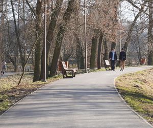 Mieszkańcy Lublina poczuli wiosnę. Na termometrach było ponad 20 stopni! Wiosenna odsłona Parku Ludowego w obiektywie