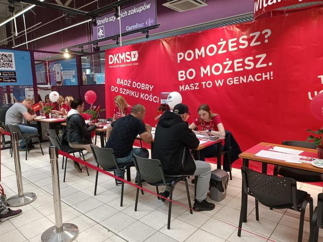 dkms grudziadz