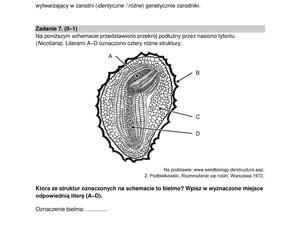 Matura 2024: biologia. Arkusze CKE i odpowiedzi. Poziom rozszerzony [Formuła 2015]