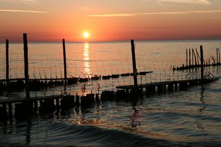 Grzybowo k. Kołobrzegu