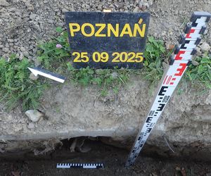 Ludzkie szczątki przy wydziale UAM