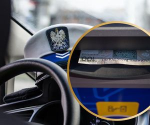 Skruszony złodziej sam zgłosił się na policję. Wystarczyło pokazać, jak wygląda