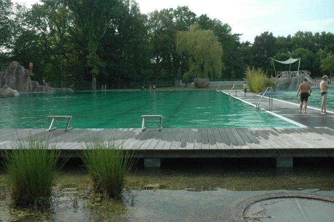 Publiczne kąpieliska - staw kąpielowy zamiast basenu