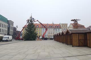 Ozdoby świąteczne w Bydgoszczy