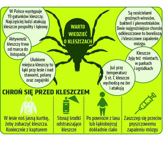 Infografika - kleszcze 2