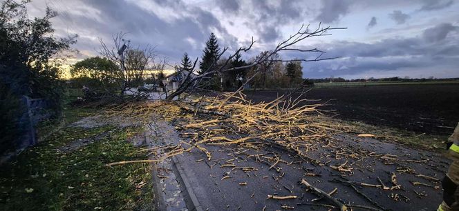 Wichura w Łódzkiem