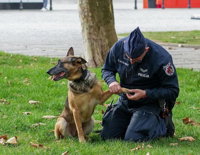 W Warszawie trwają ćwiczenia systemu alarmowego