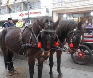 Wielka Szarża w centrum Łodzi. Oddziały konne przeszły przez Piotrkowską