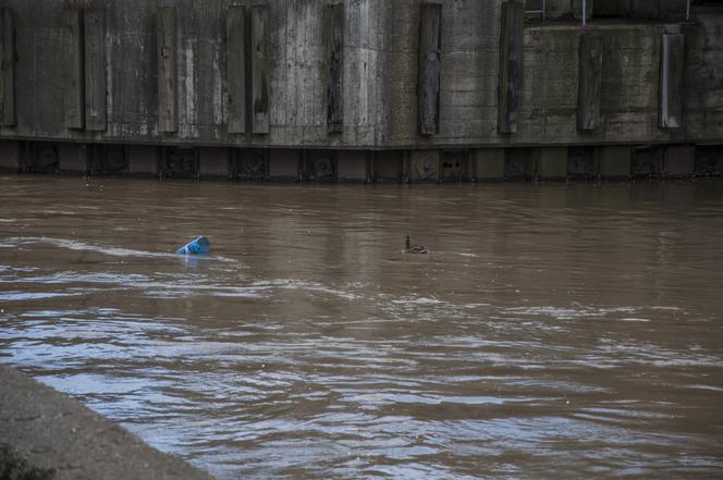 Nie tylko wędkarz... po deszczowym jeziorze pływały też kaczki