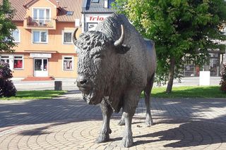 Zambrów na Podlasiu