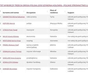 Wybory Europejskie 2024: Listy wyborcze Okręg 11 Śląsk