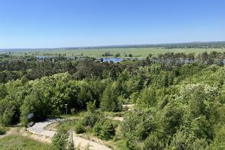 W Polsce powstanie nowy park narodowy? Niezwykle unikalny teren pod ścisłą ochroną?