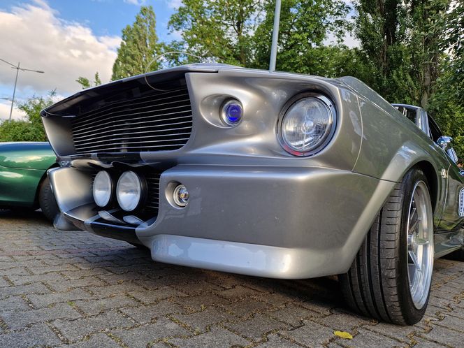 Zabytki pod chmurką. Bydgoskie Klasyki znów przyciągnęły tłumy pod Torbydem