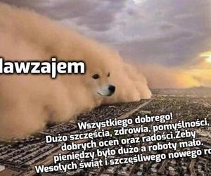 Memy o Bożym Narodzeniu. Już niebawem te obrazki staną się rzeczywistością 