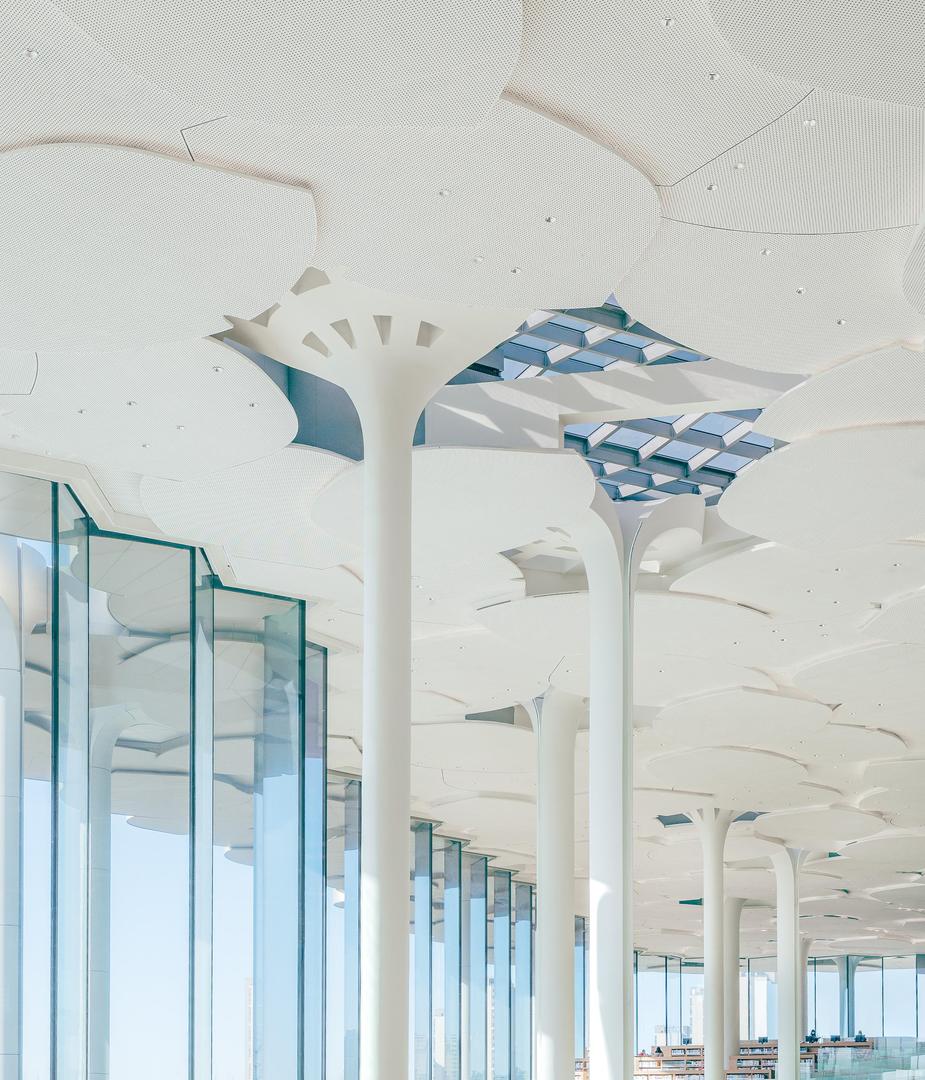 Snøhetta  - wnętrza biblioteki w Pekinie