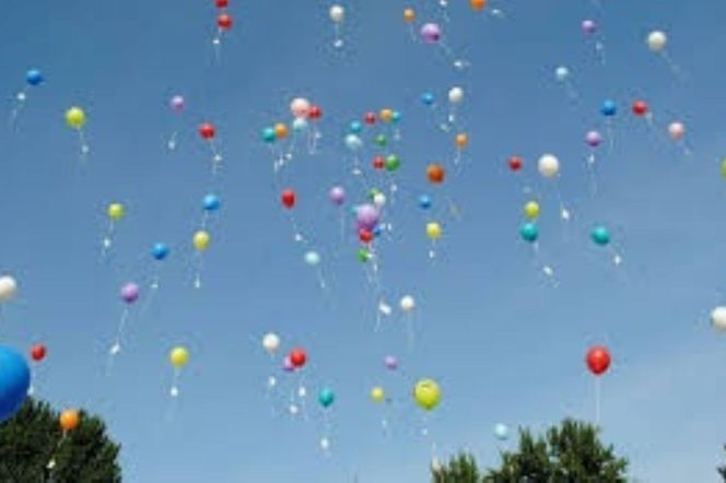 Lubelskie - Niedrzwica Kościelna zaprasza 15.06. na piknik parafialny [AUDIO]