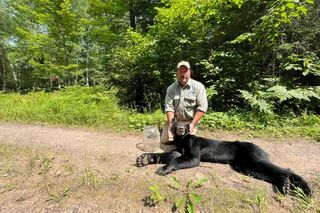  Niewiarygodne spotkanie z niedźwiedziem! Musisz to zobaczyć