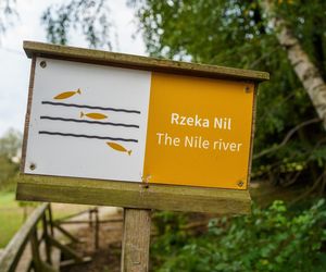 Skansen w Kolbuszowej. Tu kręono hit Netflixa 1670