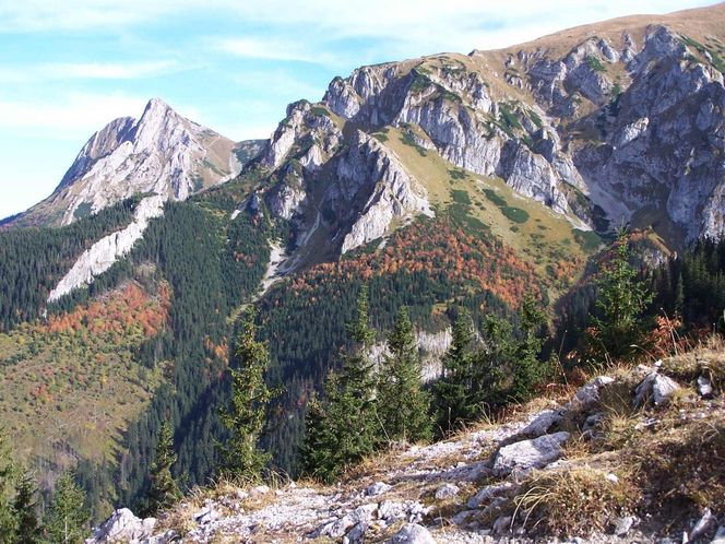 Małołączniak