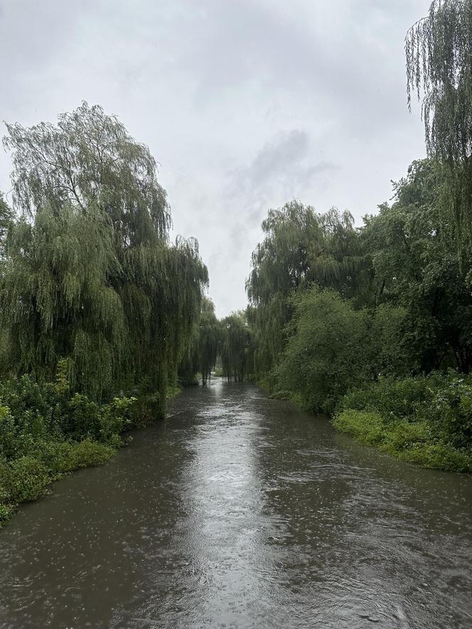 Brynica woj. śląskie - Sosnowiec, Stawiki