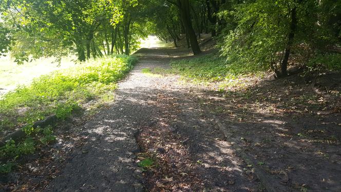 Park Zamkowy i Promenada w Mysłowicach