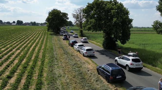 Samozbiory truskawek w Księżym Lesie