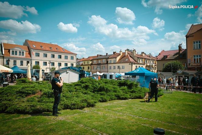 Wojewódzkie Obchody Święta Policji w Żorach 2024